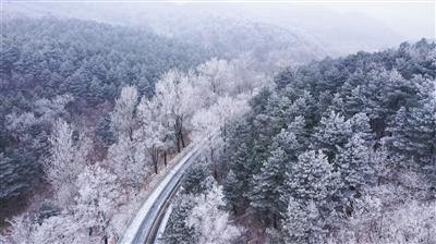 当你的孩子不愿意学习时，你是怎么教育的？游戏画面